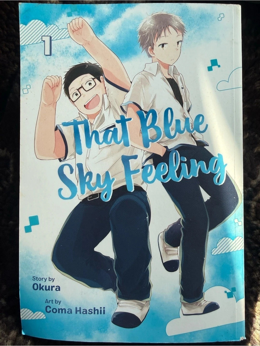 Viz Media That Blue Sky Feeling, Vol. 1 Manga Graphic Novel Blue & White